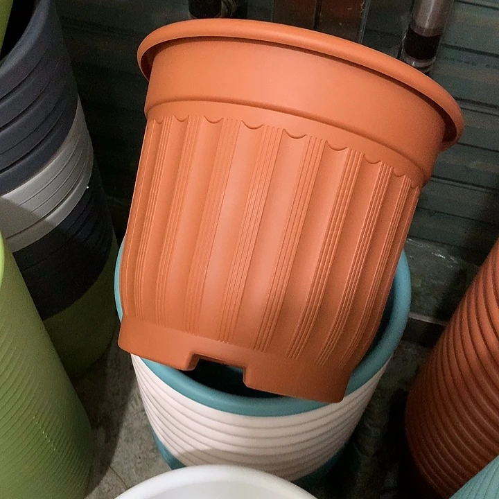 罗马口32高28红3个无托