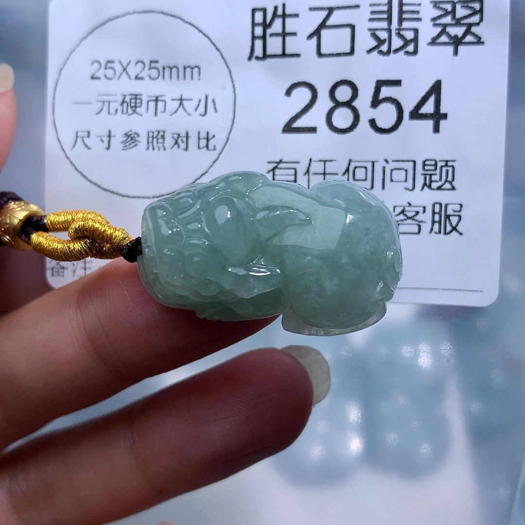 翡翠未镶嵌颈饰2854。