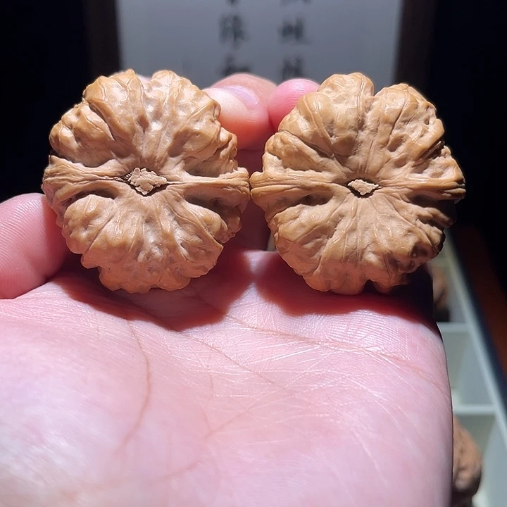 核桃手串/手链我*飞蛤蟆头