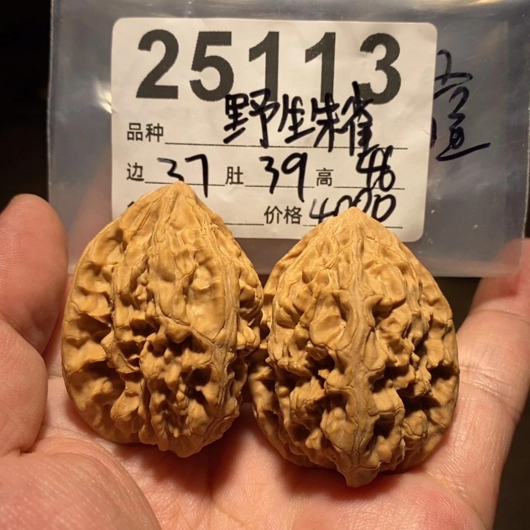 文玩核桃把件姚*帅朱雀