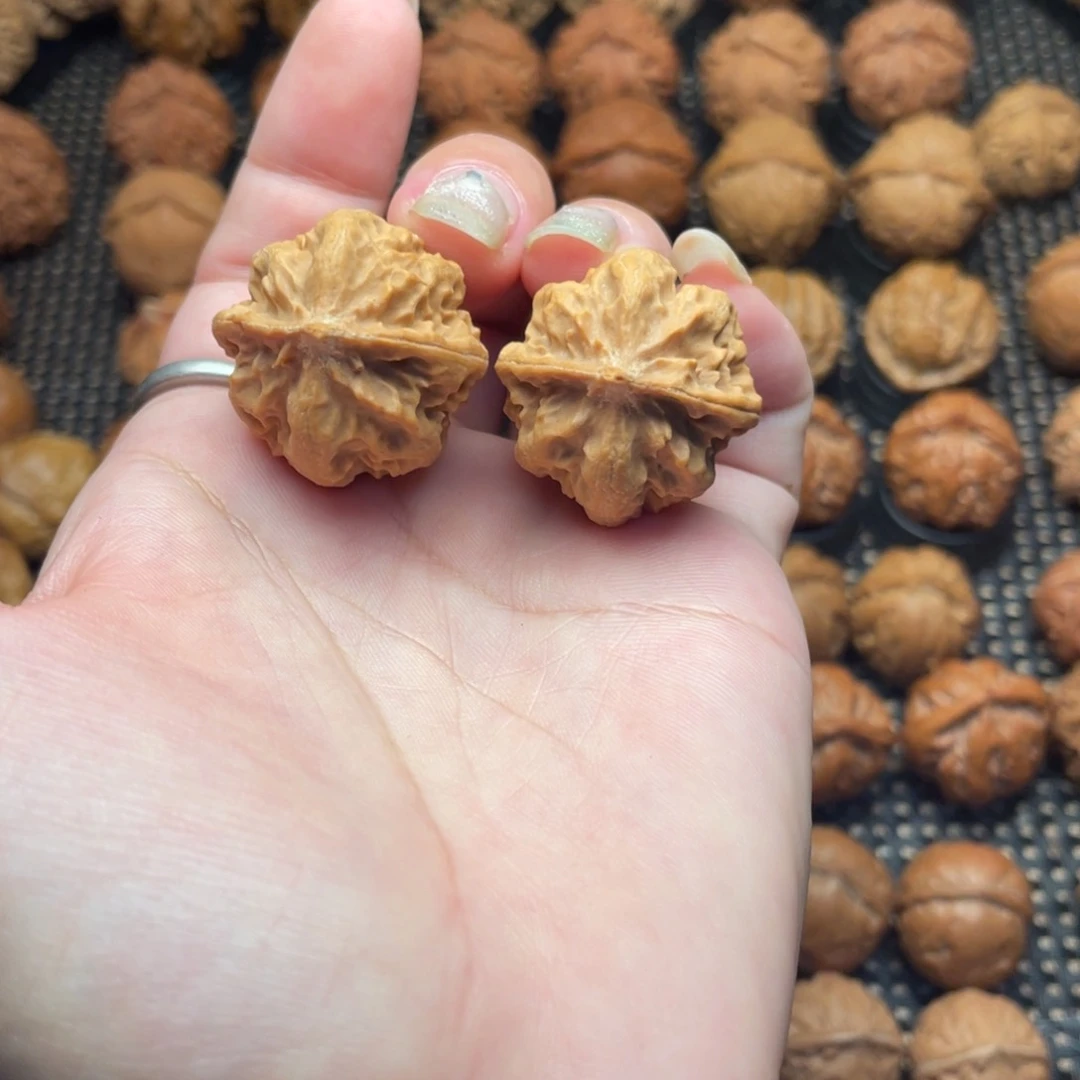 文玩把件野生小霸王龙