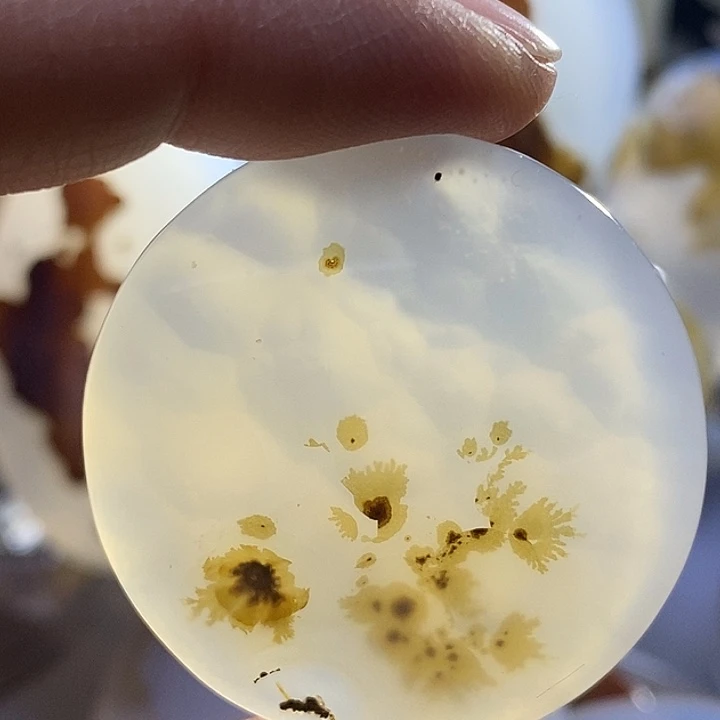 未镶嵌颈饰玛瑙/玉髓山**刘