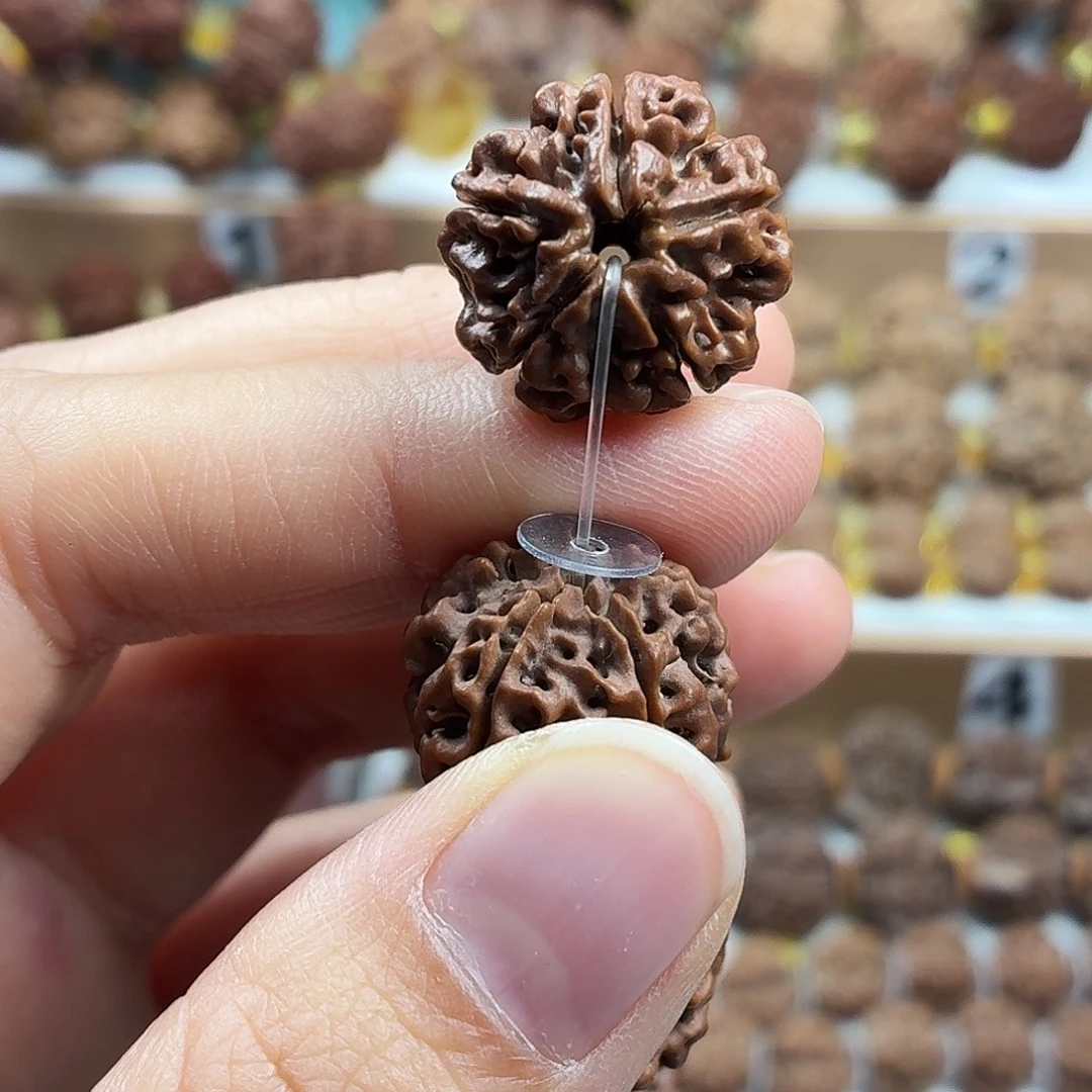 手串金刚菩提稀有精品梅花蜂窝双龙老籽