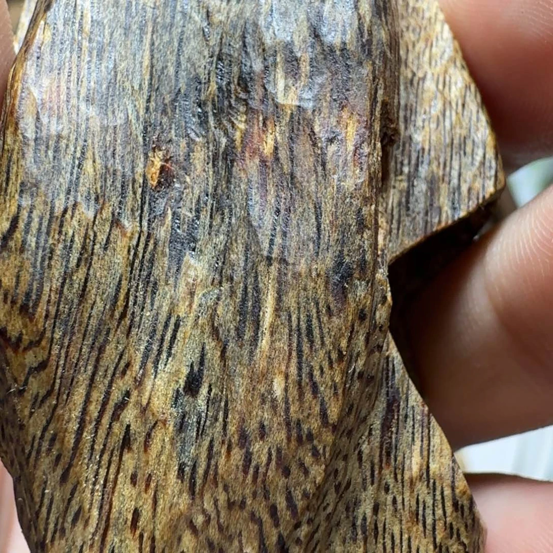 木一**雨奇楠陆河十字孔17g