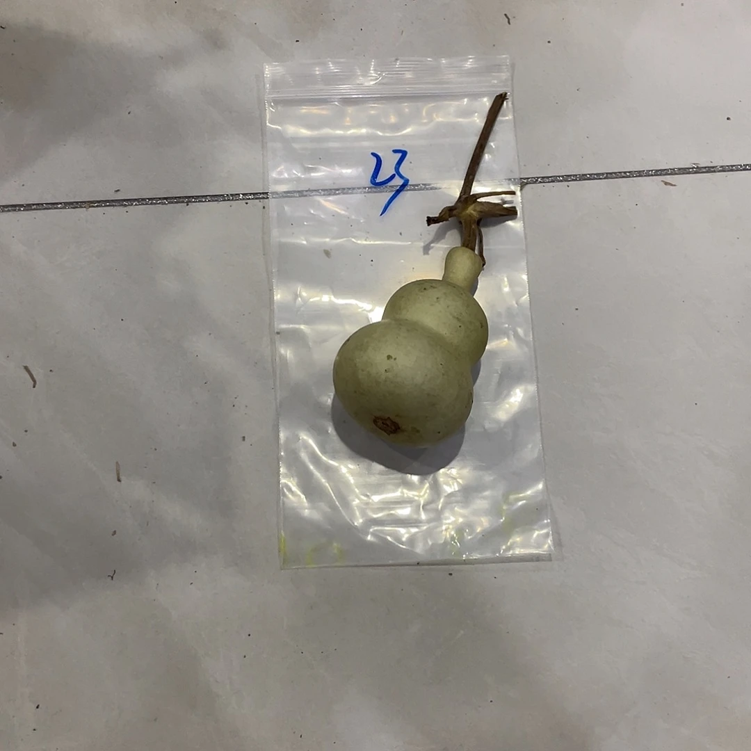 小****他咯旅途可口可乐了可口可乐了了