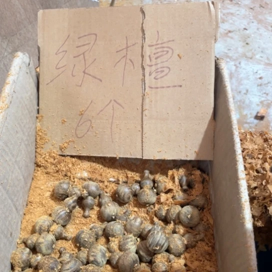 非洲紫檀（红花梨）