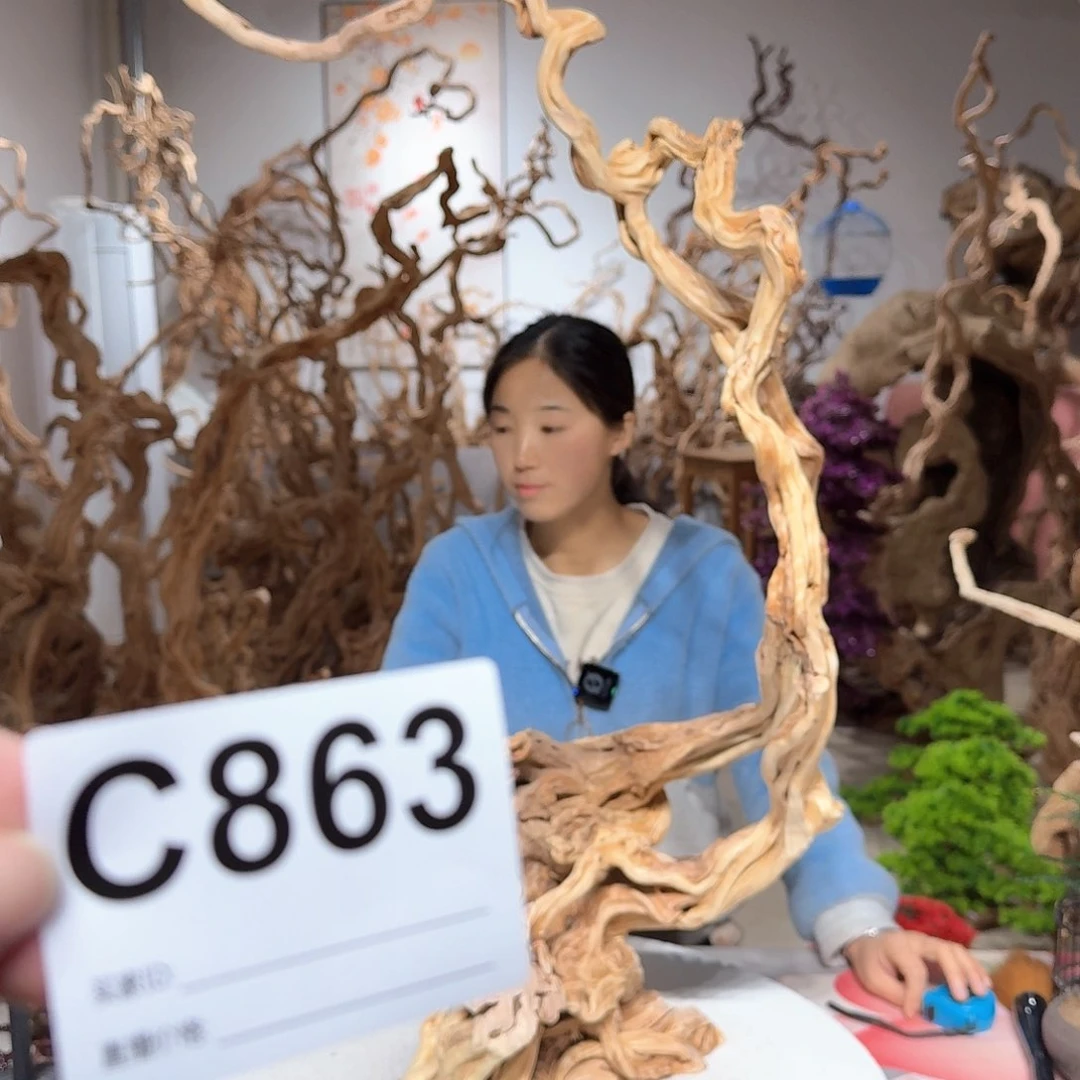 风车木（黑檀木）寒*堂