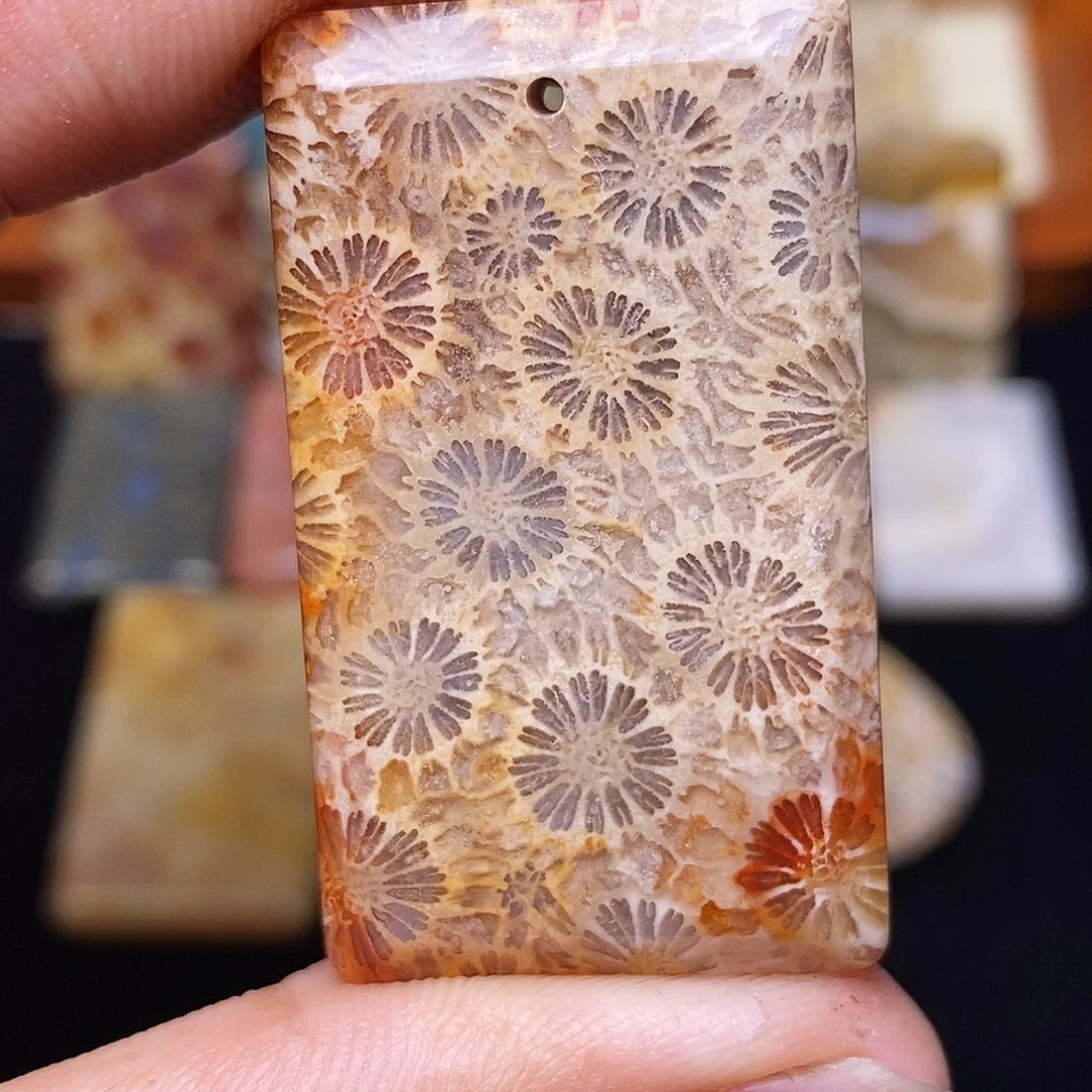 爱****硅化玉合金珊瑚玉