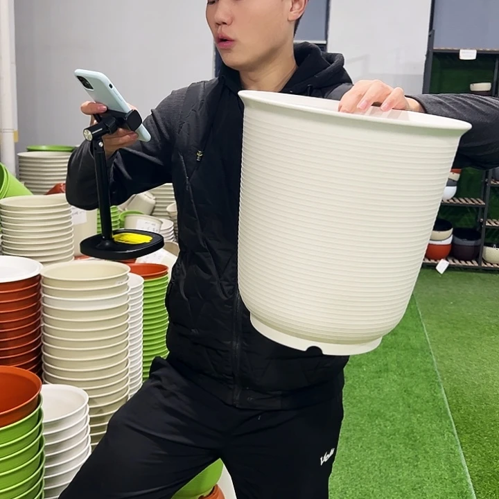 正品高陶口30高31白色3只无托