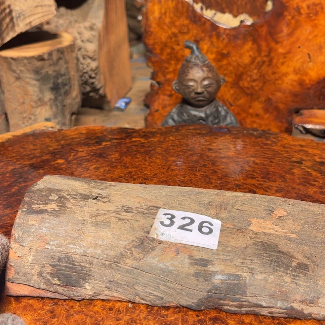 大果紫檀（缅甸花梨）