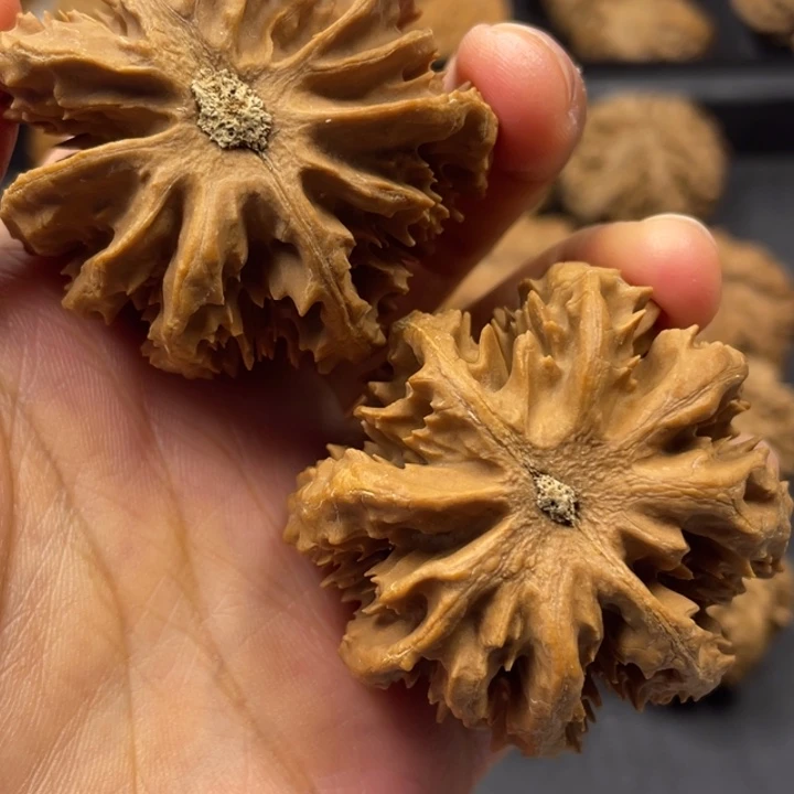 文玩核桃吊坠突突突突突突