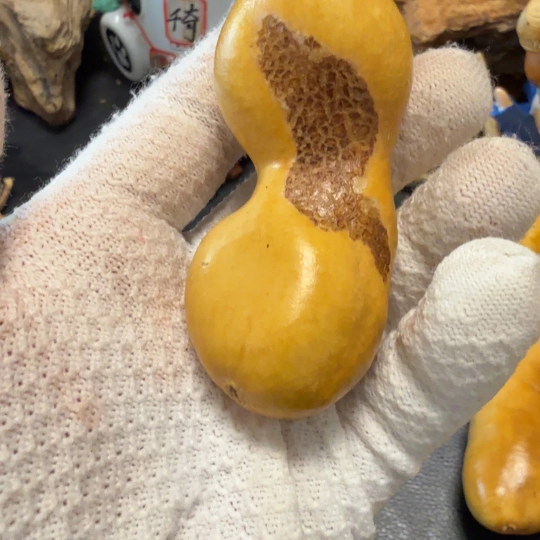 大***偉666666666666666666