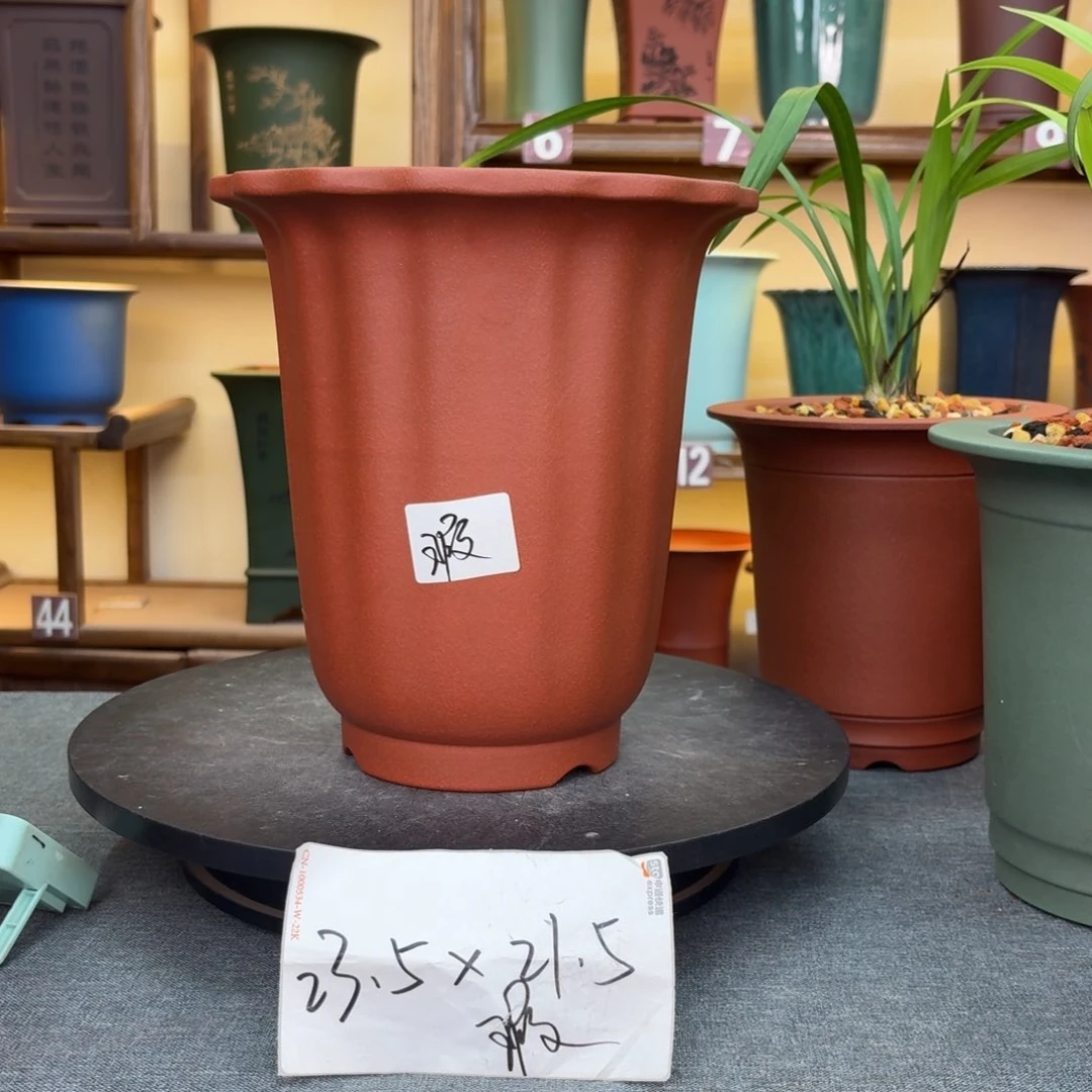 紫砂花盆555698886655