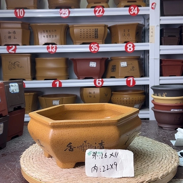 紫砂花盆蛇年大吉