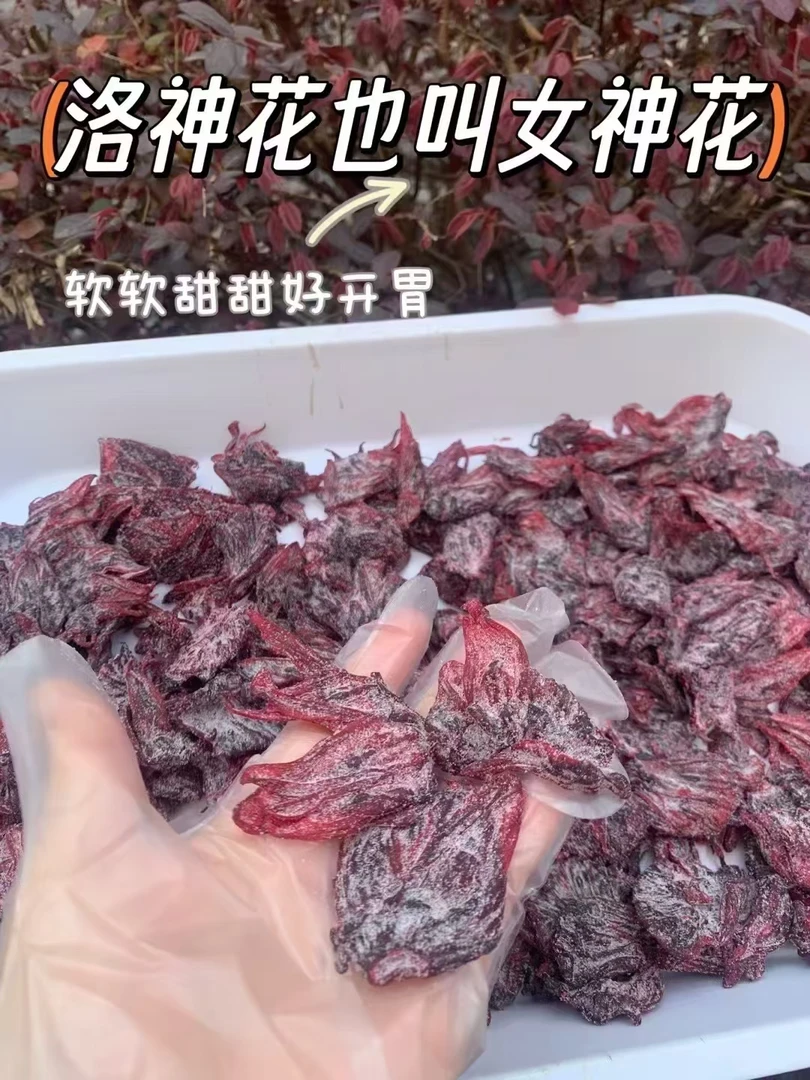 专属【洛神花干】潮汕洛神花果脯玫瑰茄干健康无硫好即食酸甜