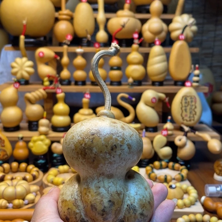 是****天然葫芦自然生长