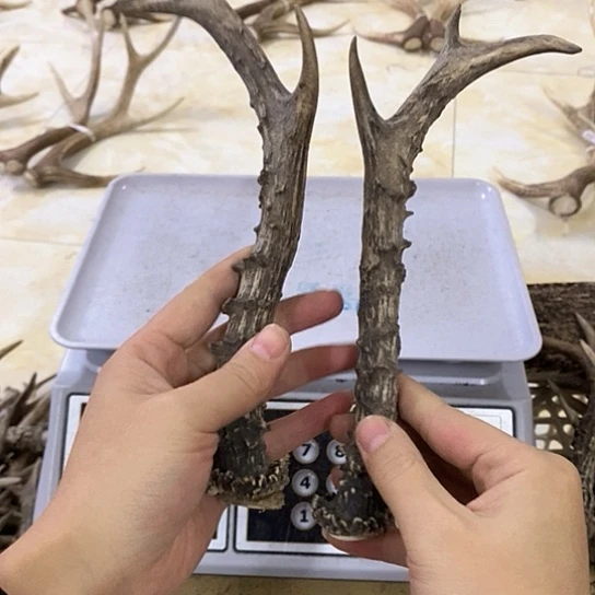 一***一大叶紫檀（黑酸枝木类）