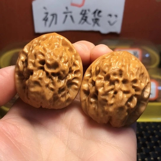 福利：精品野生金蟾眼