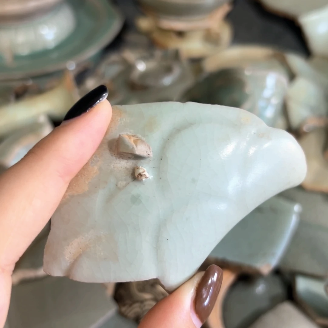 瓷片瓷瓷瓷瓷瓷瓷瓷瓷瓷瓷瓷