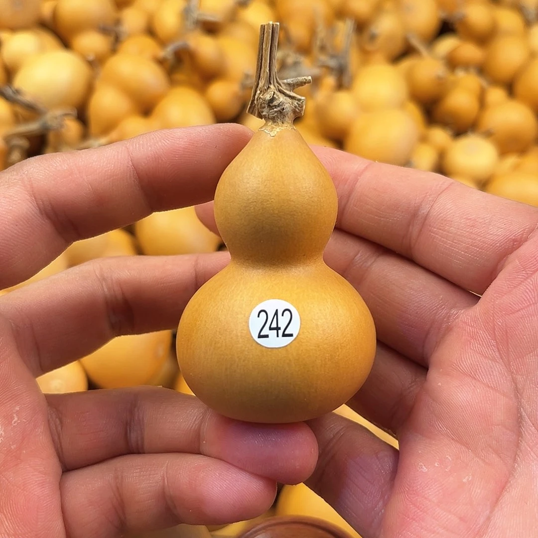 二葫芦葫芦葫芦葫芦242