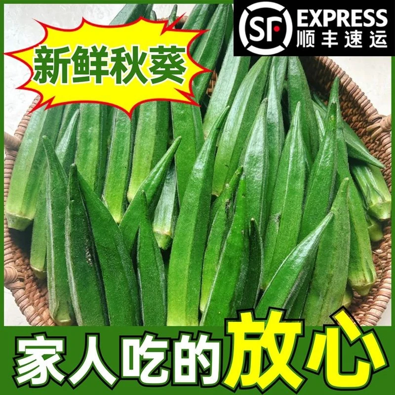 水果秋葵现摘新鲜黄秋葵生吃时令青椒蔬菜脆嫩羊豆角露天黄秋葵