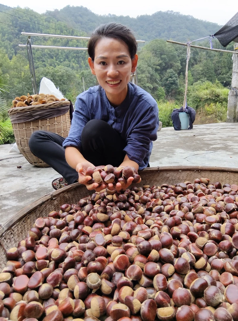 湖南高山新鲜板栗