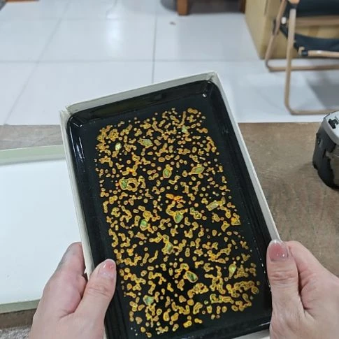 大***熊哈哈哈哈哈哈哈哈哈哈哈哈哈