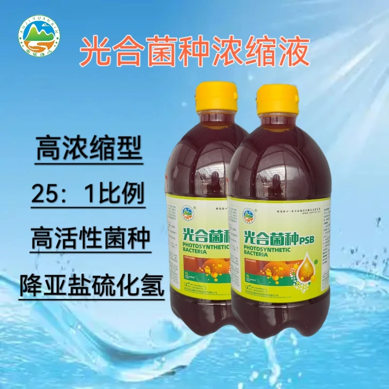 光合细菌原液水产养殖微生物用药降解氨氮亚盐调水改水抑制蓝藻