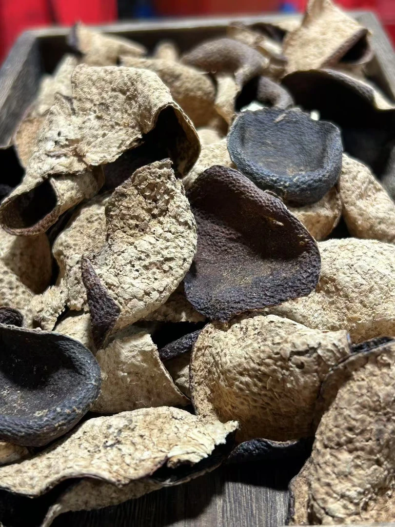 （老古董 老青皮单片）2010年东甲圈枝