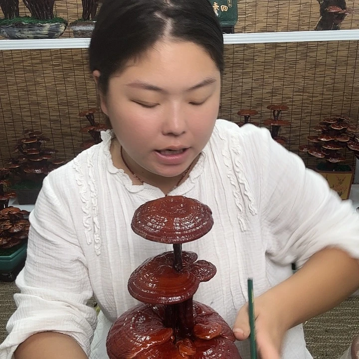 无花朵锋*?灵芝孢子粉