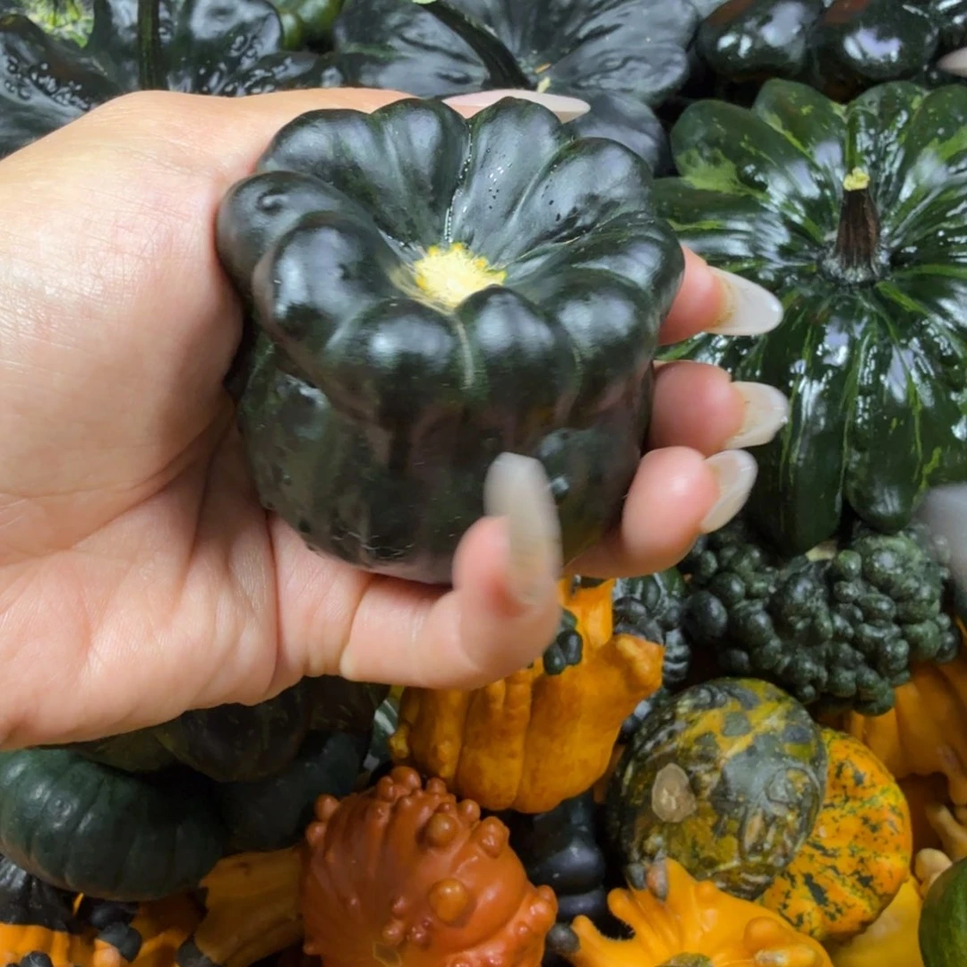 1***一饿哦饿哦饿哦饿哦饿哦