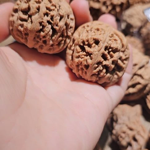 吊坠文玩核桃38粗筋