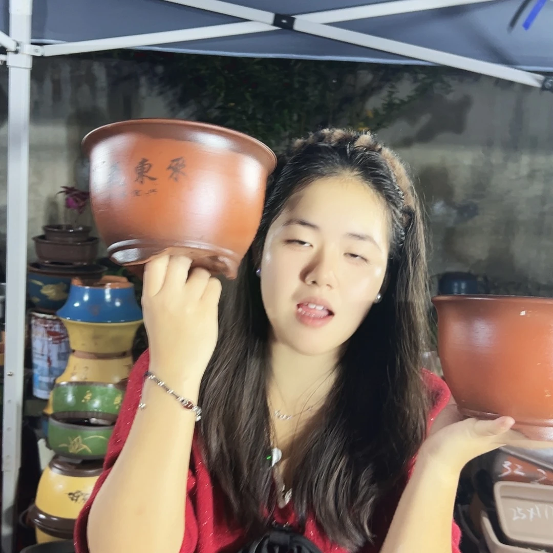 17+17紫气东来花盆花盆花盆