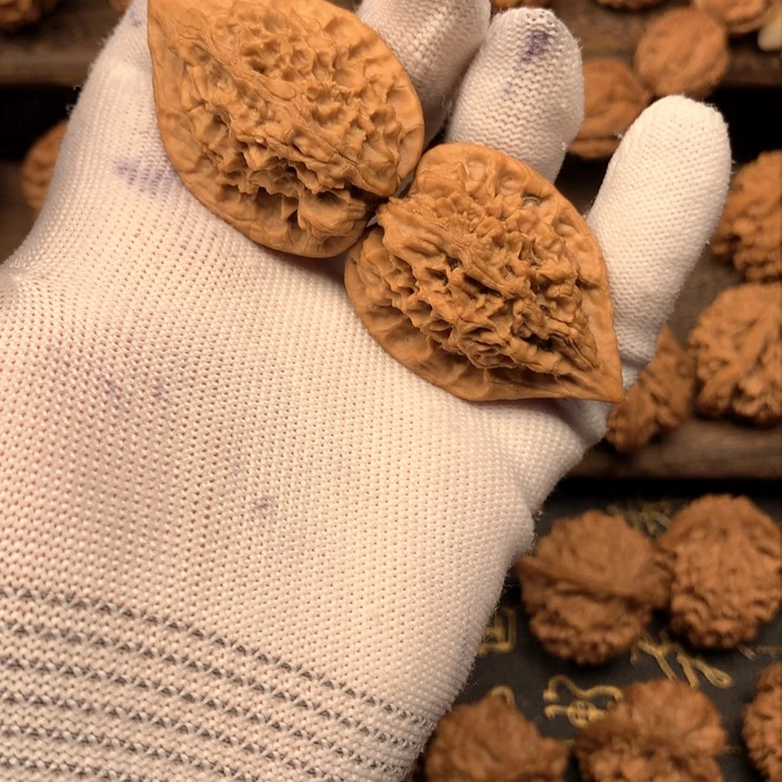 33尺秦岭野生鸡心