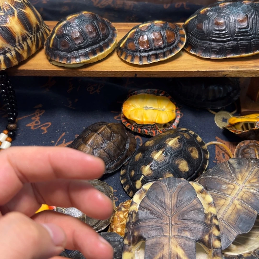 弈***房啊啊啊啊啊啊啊啊啊啊啊啊