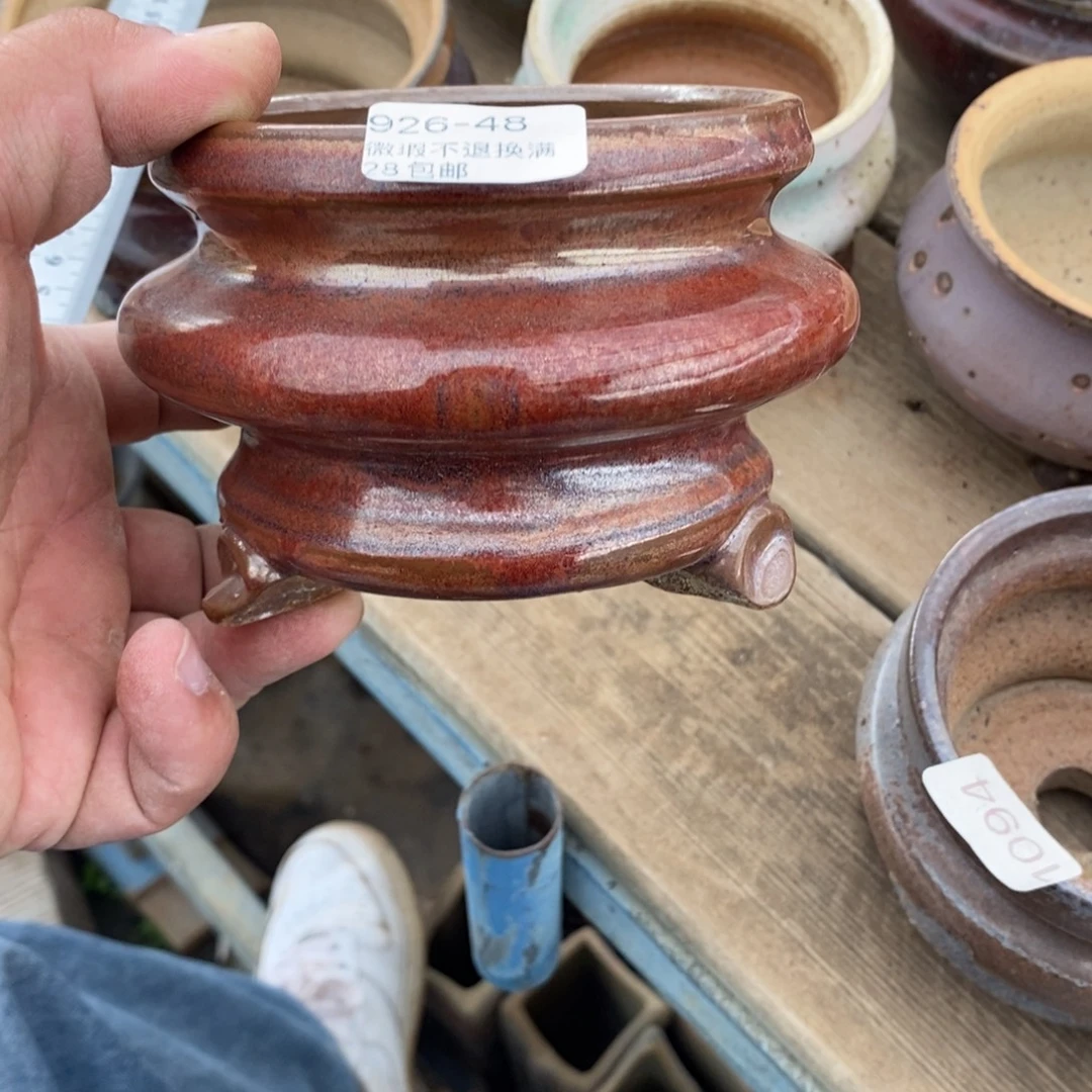 48号捌家花盆内9.5高8.5