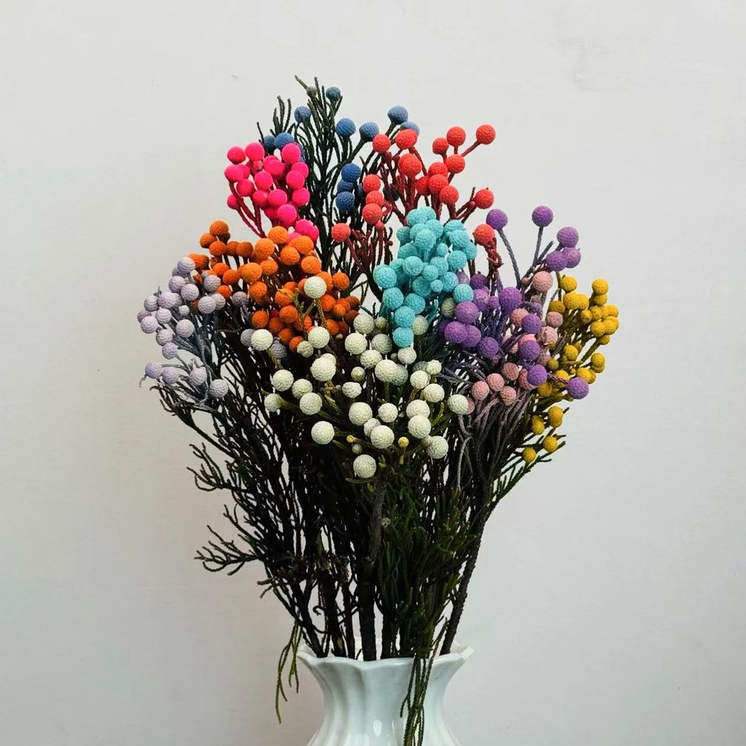 【南非进口果子花束】南非进口罗迪果可做干花做干花不变色果子花束