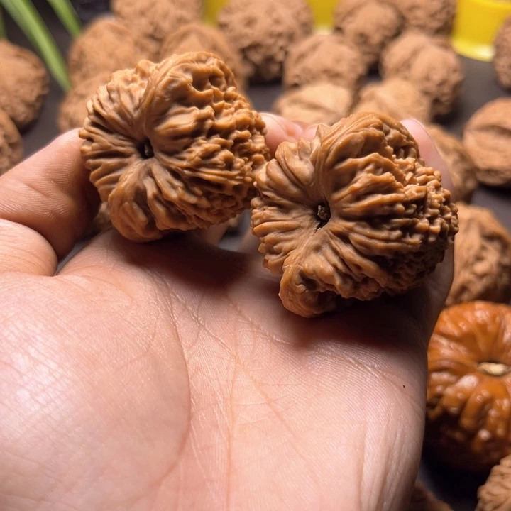 燕**三南疆石南疆石尖浮黄41
