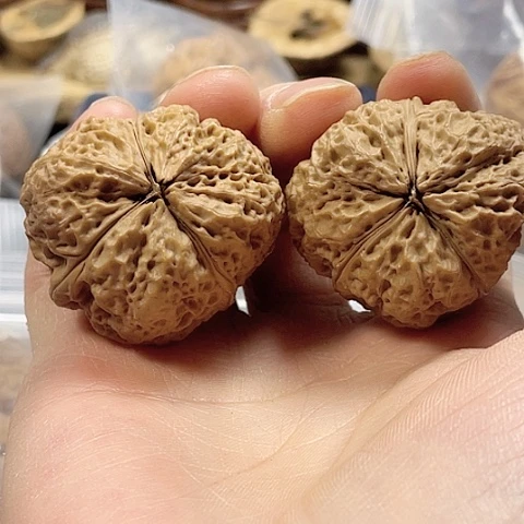 文玩核桃把件无*玄武索带彩40