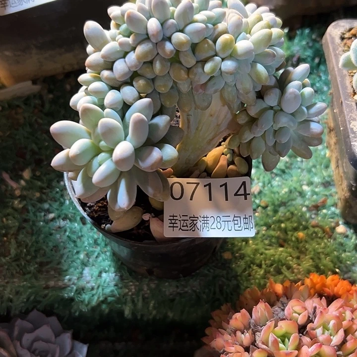 幸运的是我还没遇到过这样