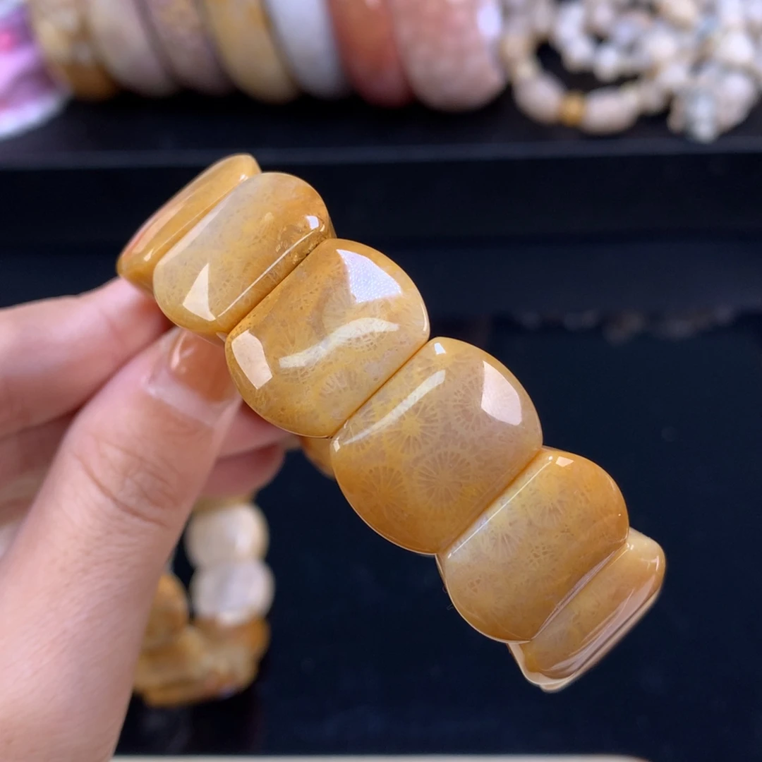 硅化珊瑚（珊瑚玉）未镶嵌颈饰手牌88漏44（51号）