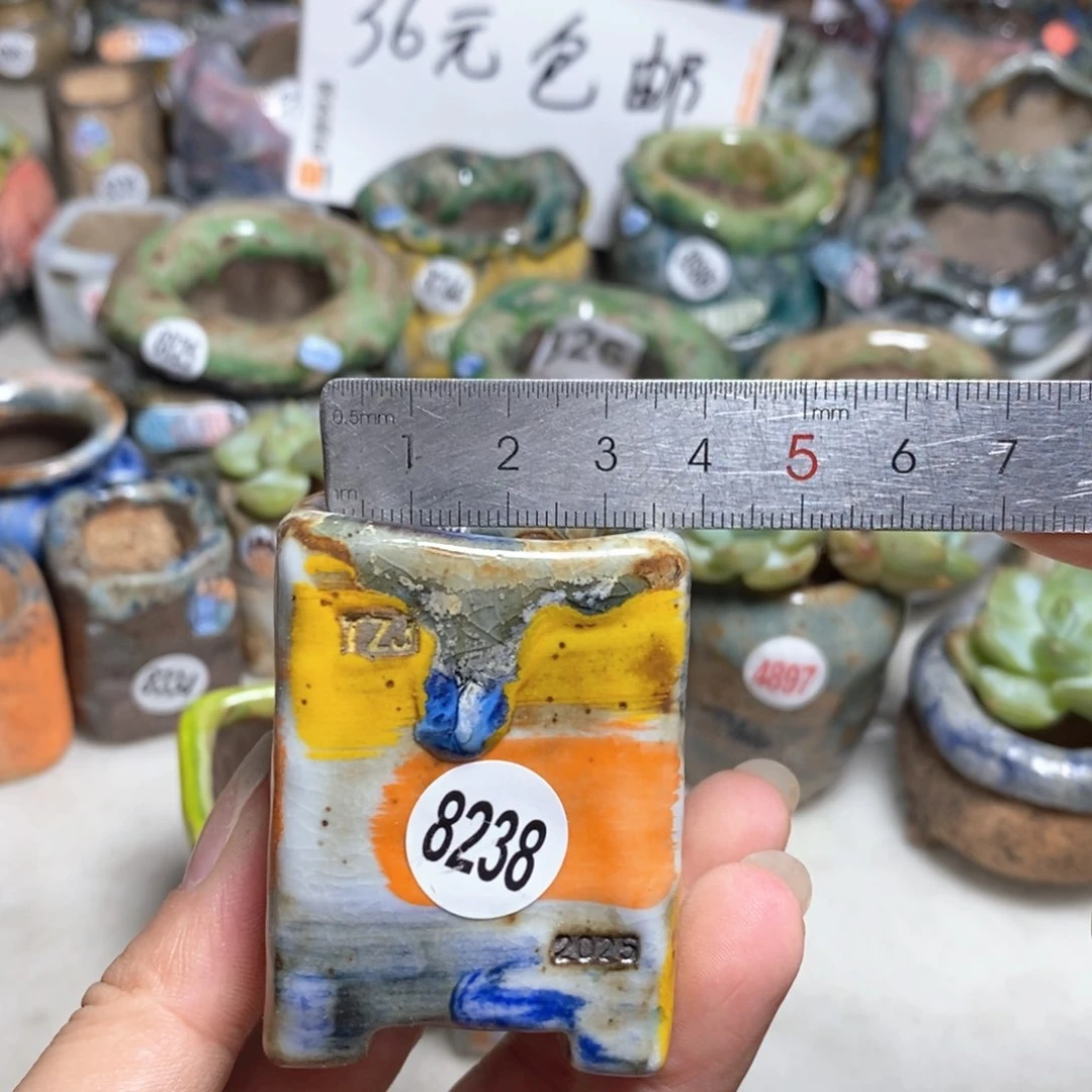 拍3送一个小礼物