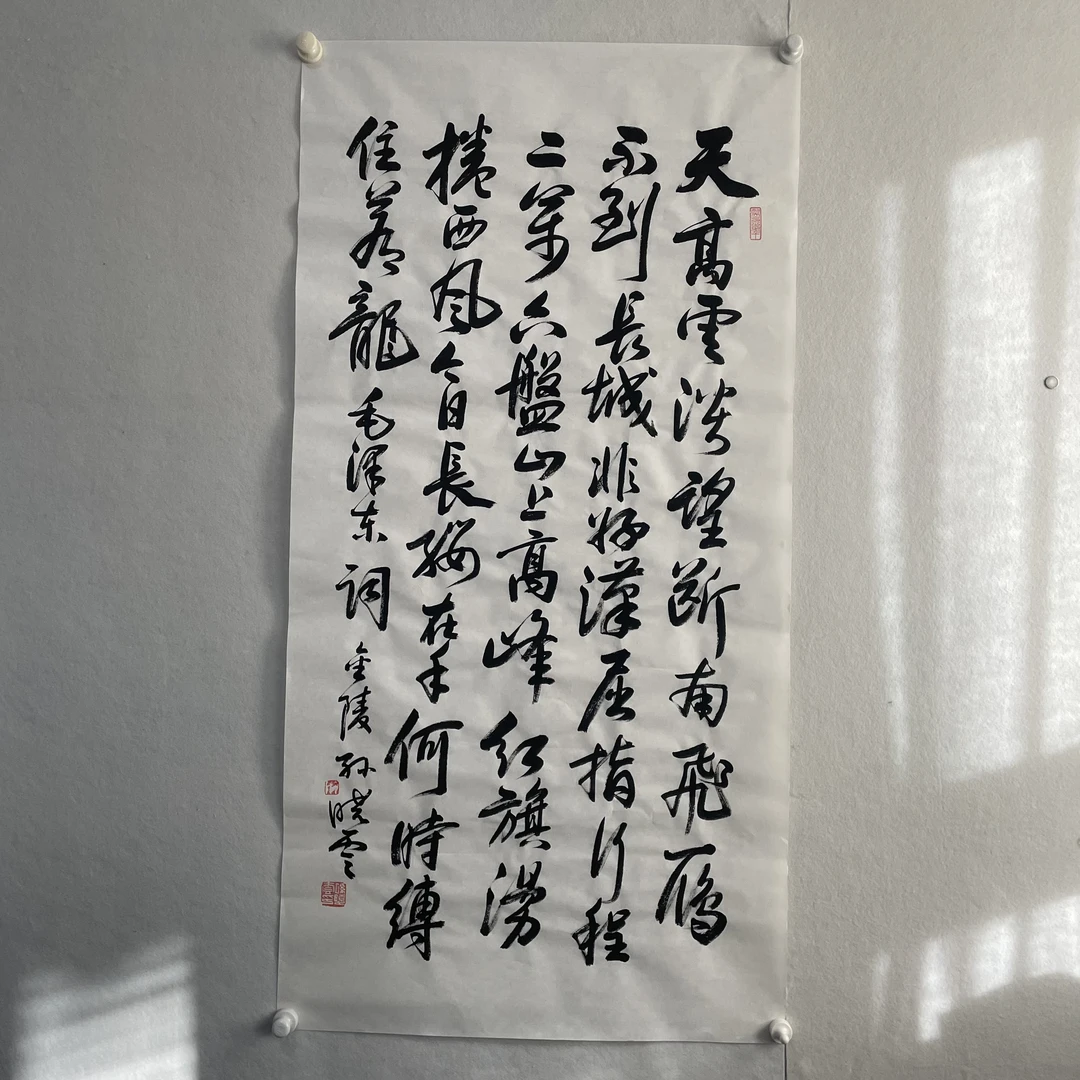 5287  书法 纸本水墨136×68