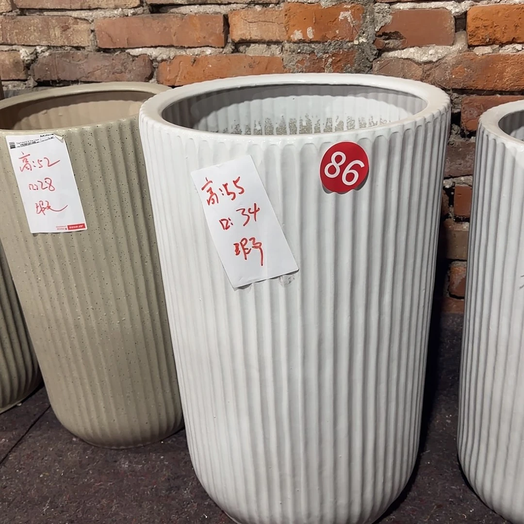 套二白色条纹最大号