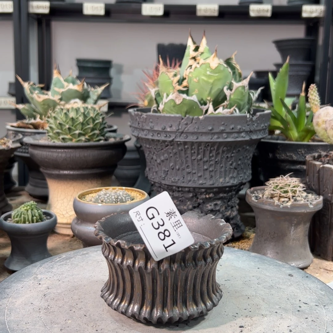 景德镇素里手工口9.5高7