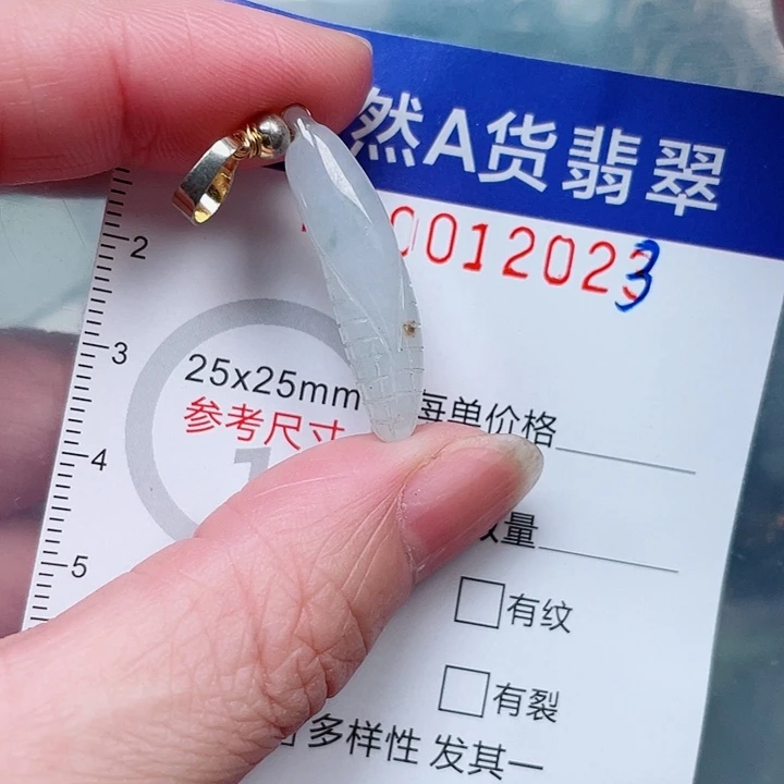 吊坠(赠链)未镶嵌翡翠