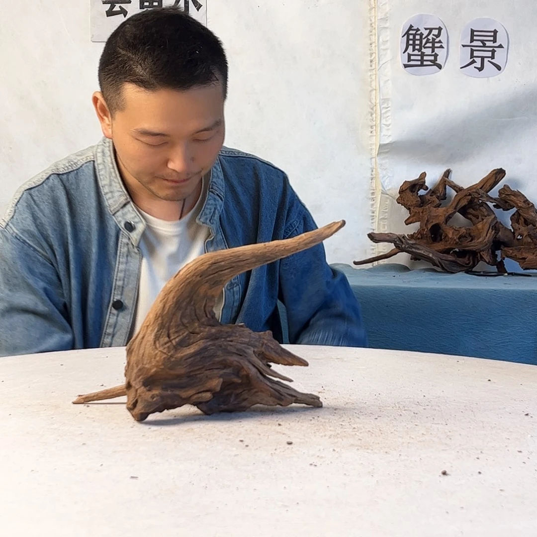 沉木造景爬宠造景