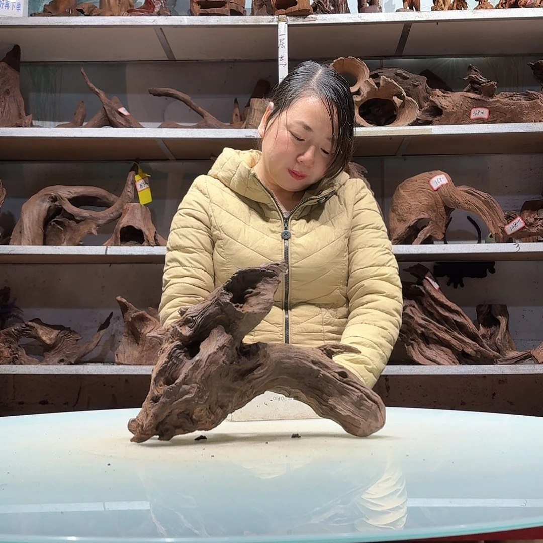 倍褚沉木不包损必褪色冰*0114