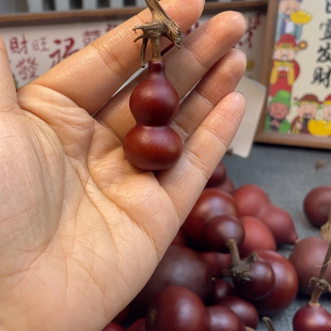 郑***练有机玻璃123456789