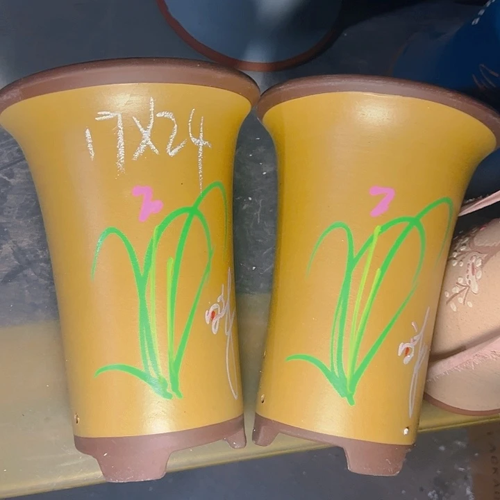 紫砂紫砂紫砂紫砂紫砂紫砂